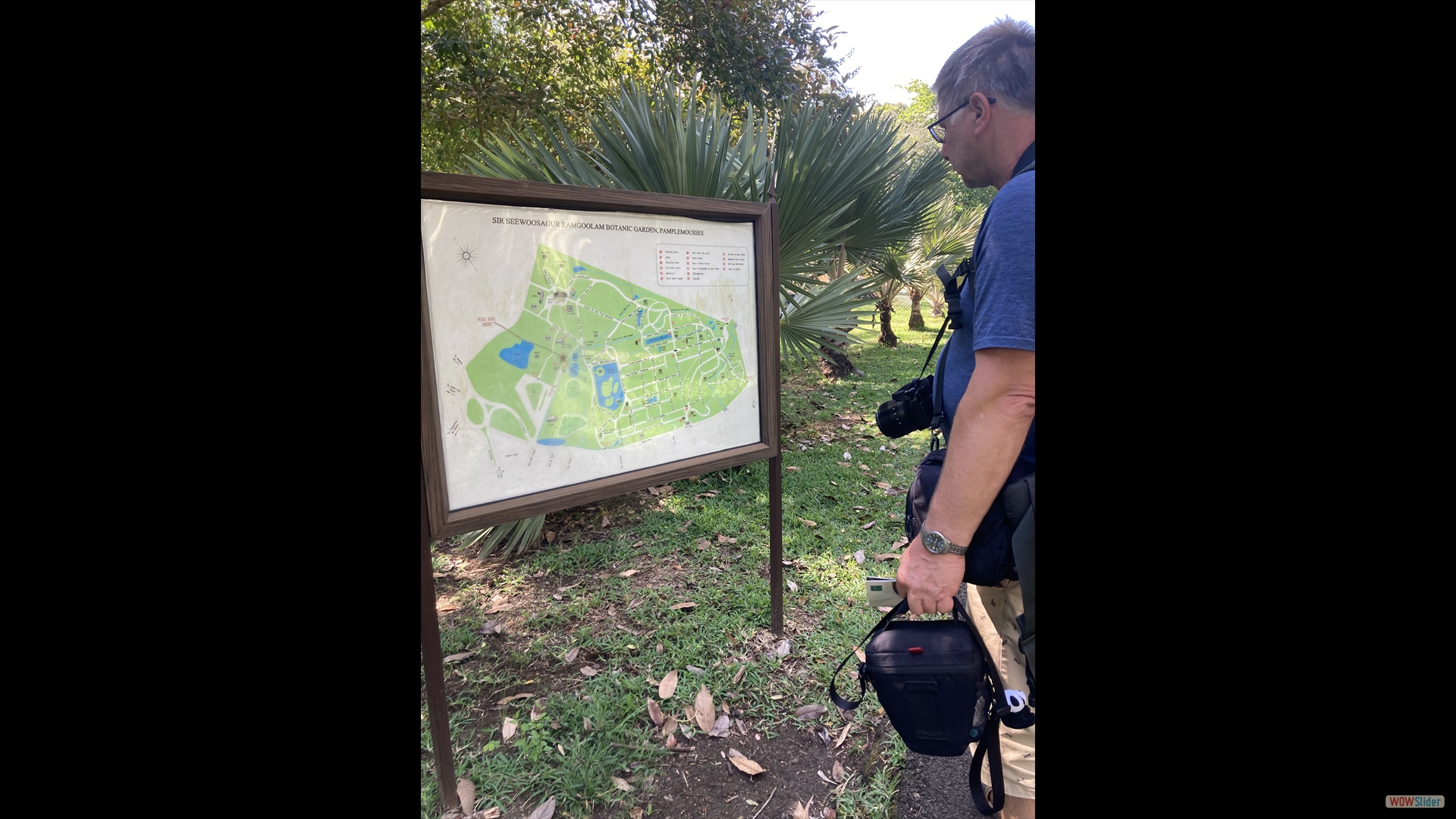 Sir Seewoosagur Ramgoolam Botanical Garden in Pamplemousses