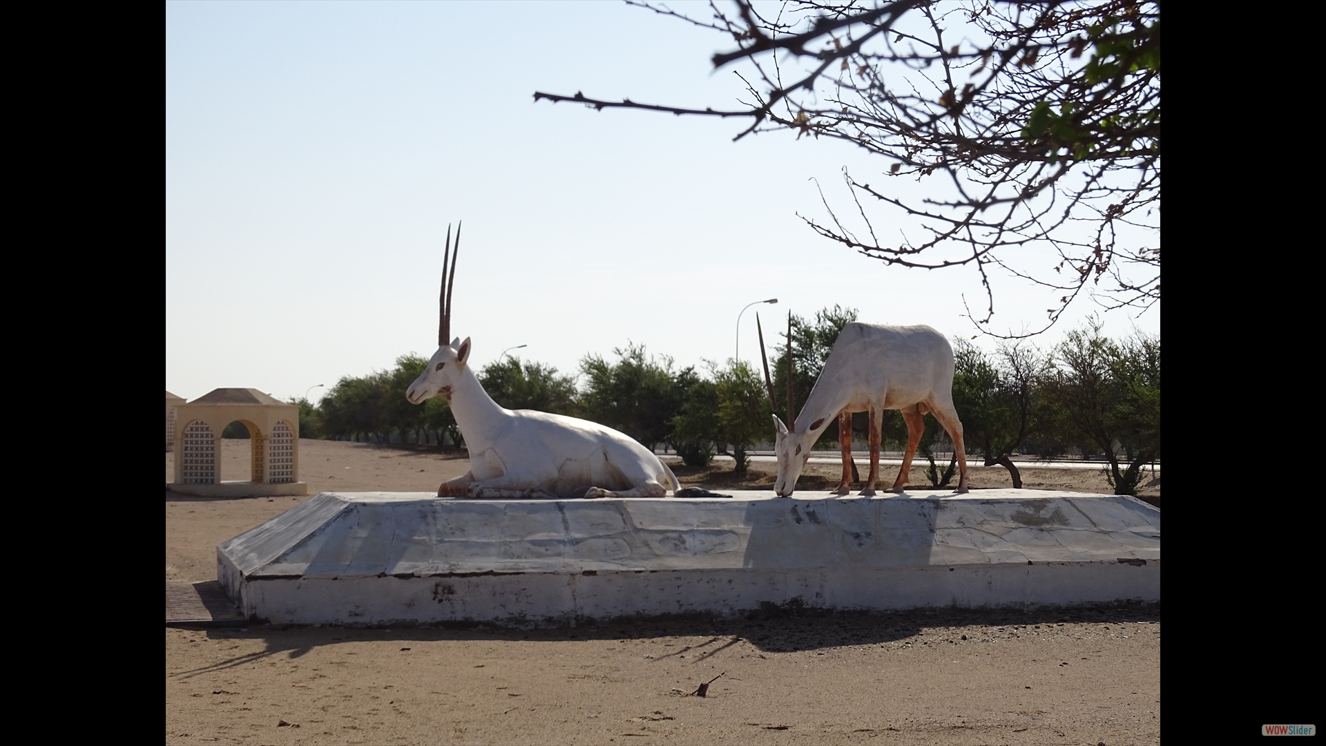 Oryx Wildschutzgebiet