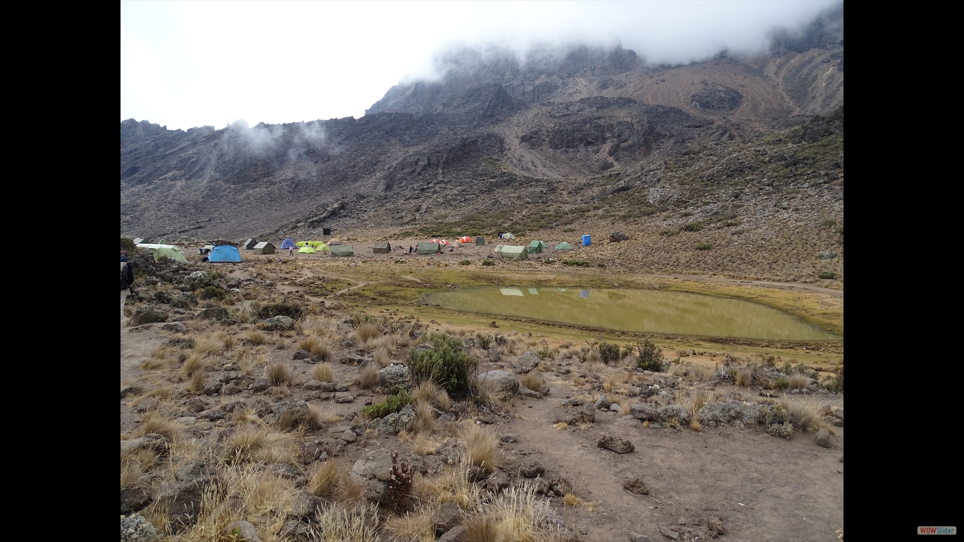 Mawenzi Tarn Camp  (4310 m)
