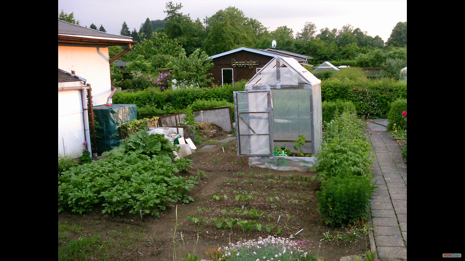 2016-06-01-Garten-Hohnstein