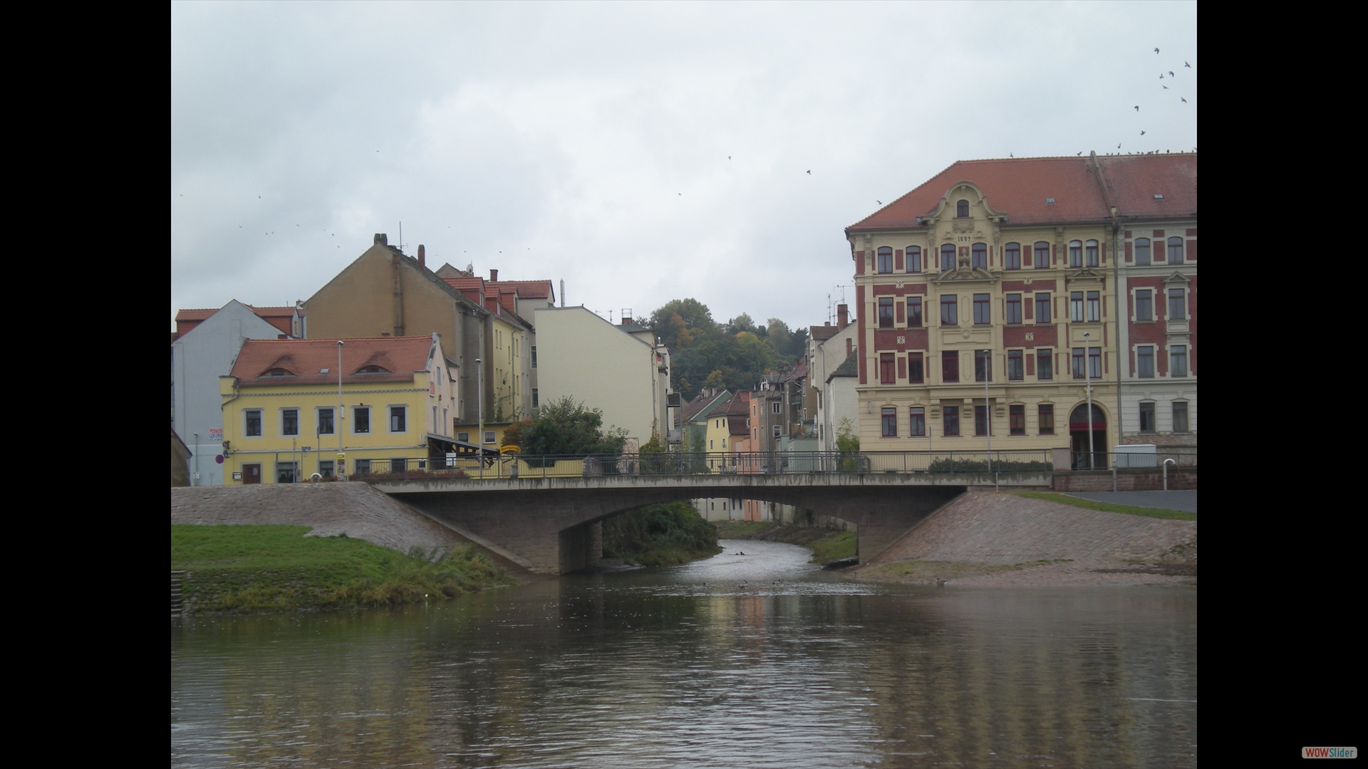 Triebischmündung