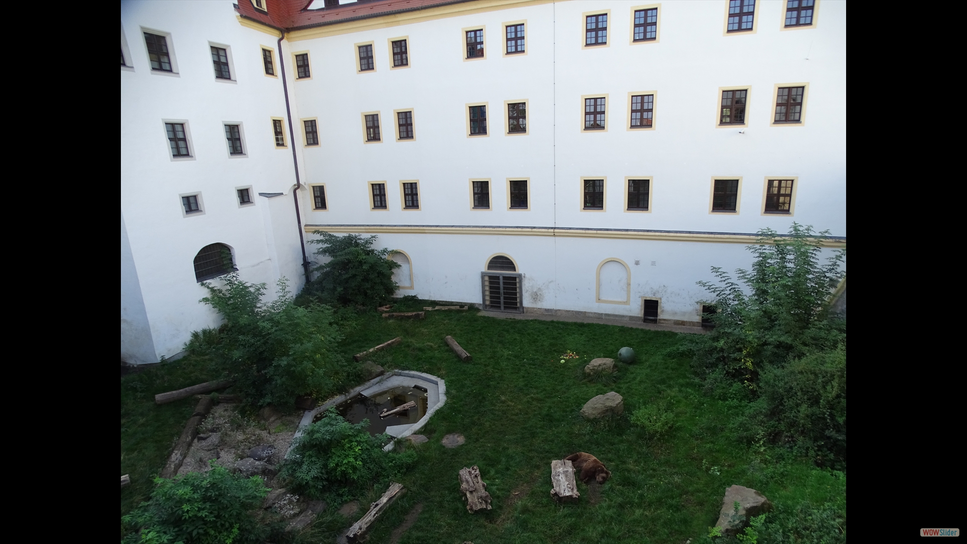 Schloss Hartenfels - Bärengehege