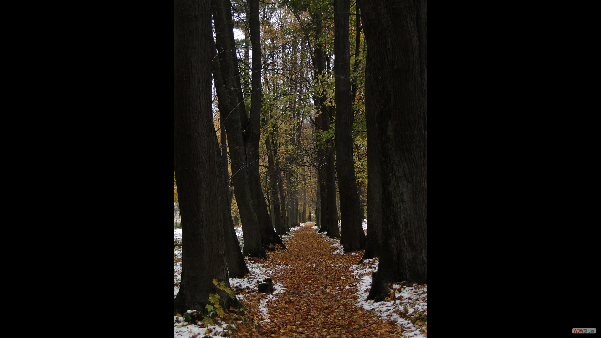 Schlosspark Dürrröhrsdorf-​Dittersbach