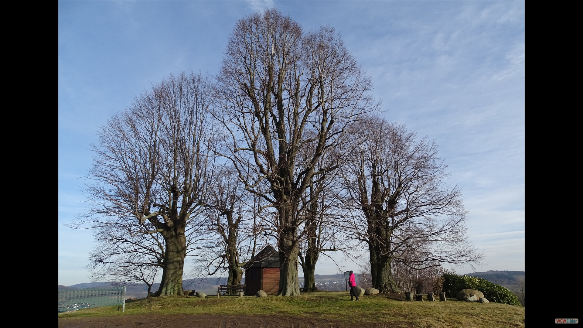 Sieben Linden - Steinigtwolmsdorf