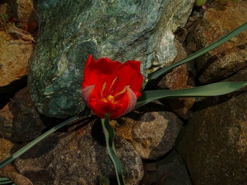 Ein Bild, das Rock, sitzend, gro, Tisch enthlt.

Automatisch generierte Beschreibung