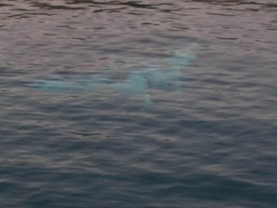 Ein Bild, das draußen, Wasser, Welle enthält.
Automatisch generierte Beschreibung