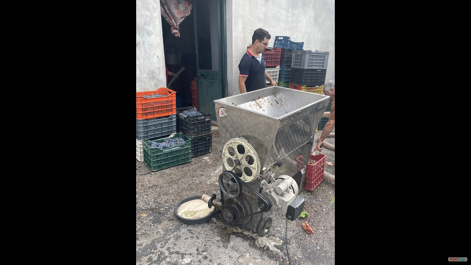 Leskovik - Weintraubenpresse