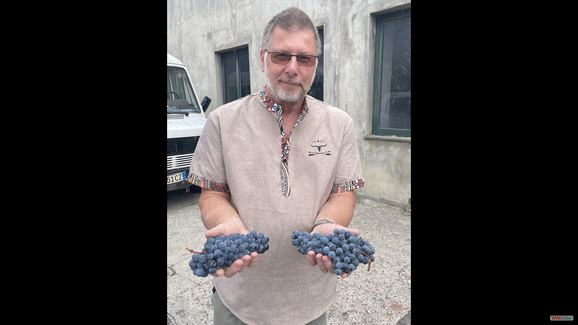  saftige Trauben - vor der Presse gerettet