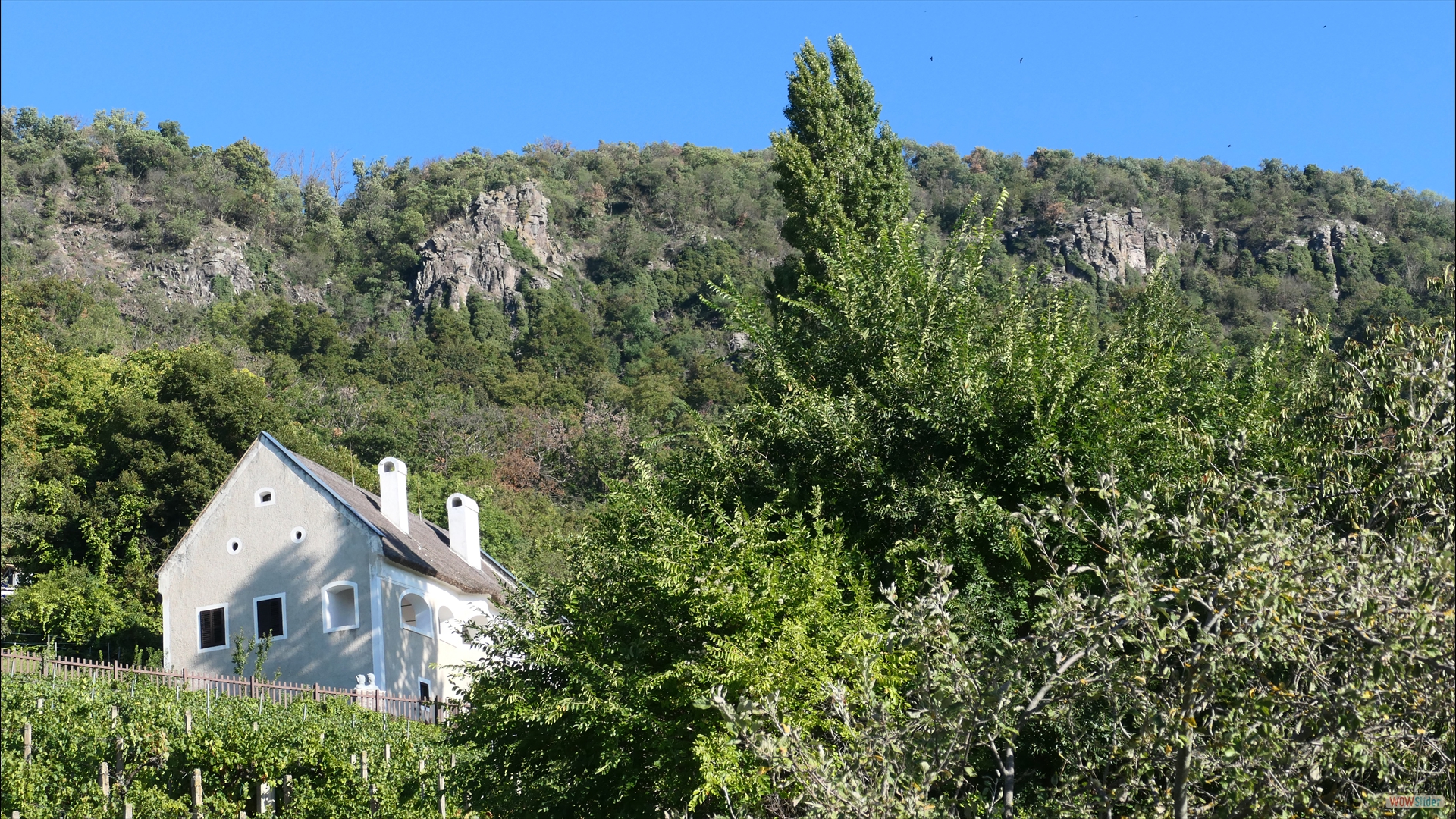 Besteigung Badacsony 