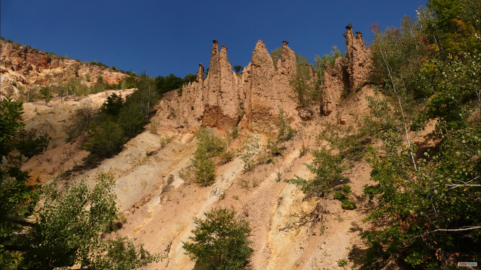 202 Säulen aus rost- und ockergelbem Sandstein (2 - 15 m hoch)