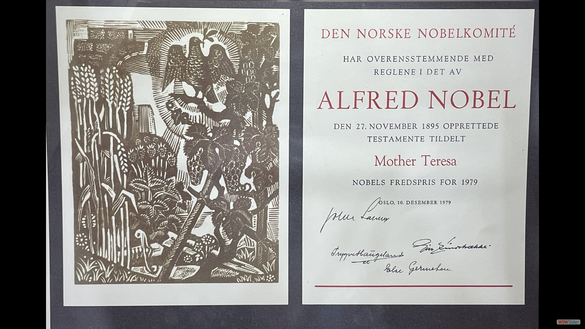 Friedensnobelpreis für Mutter Teresa
