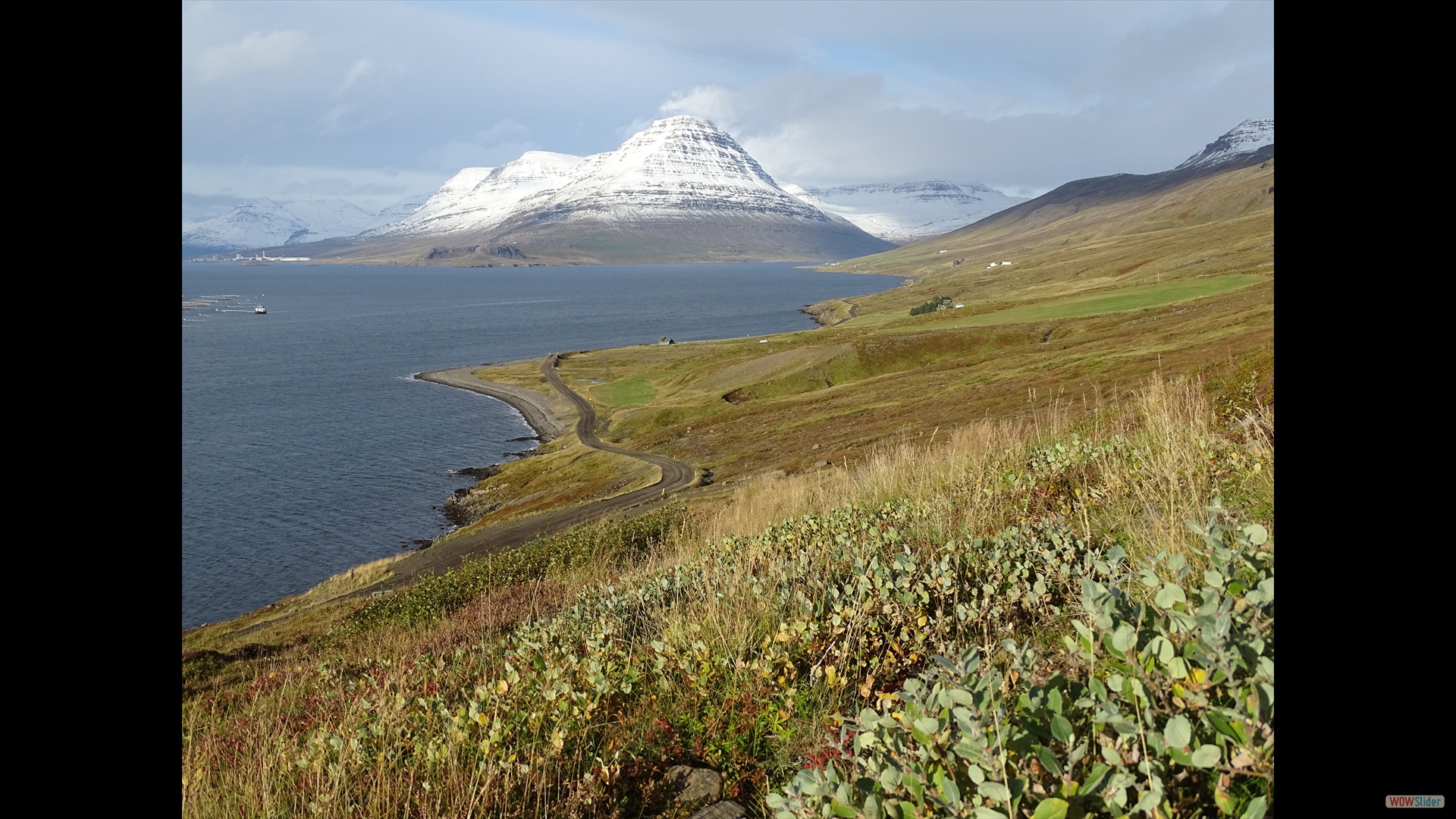 Reydarfjödur-Fjord