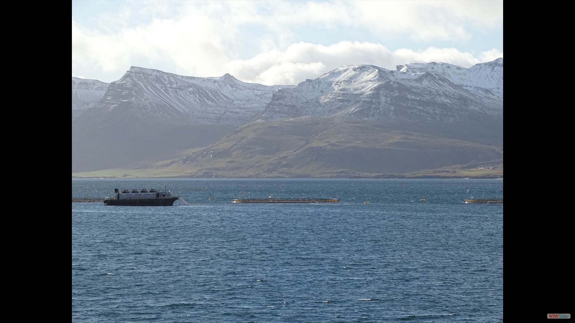 Reydarfjödur-Fjord