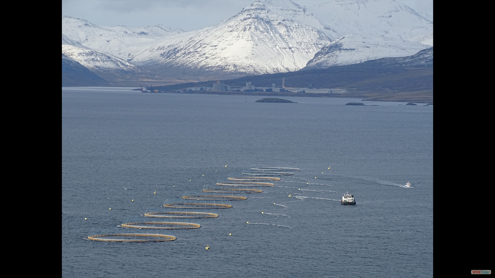 Reydarfjödur-Fjord