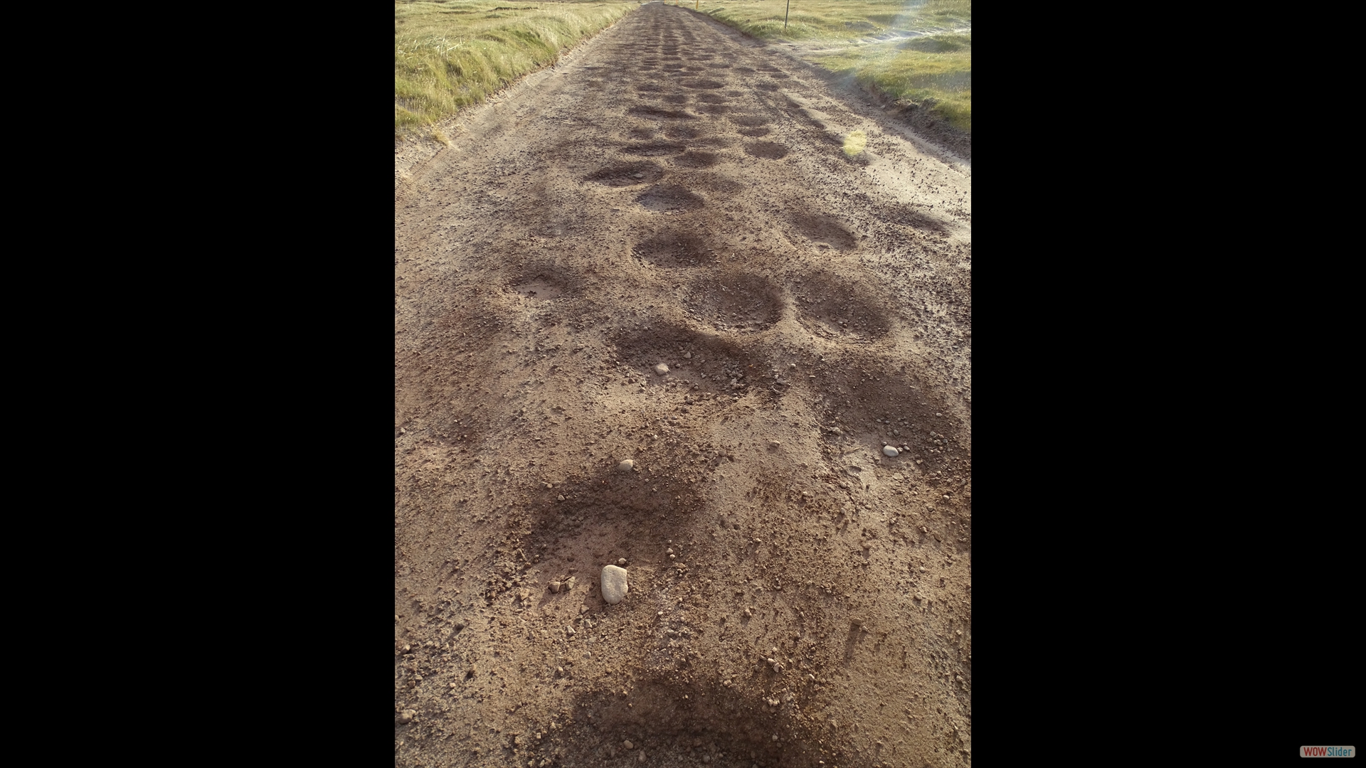 Die Anfahrt zur Klippe Latrabjarg war für unser kleines Wägelchen beschwerlich.