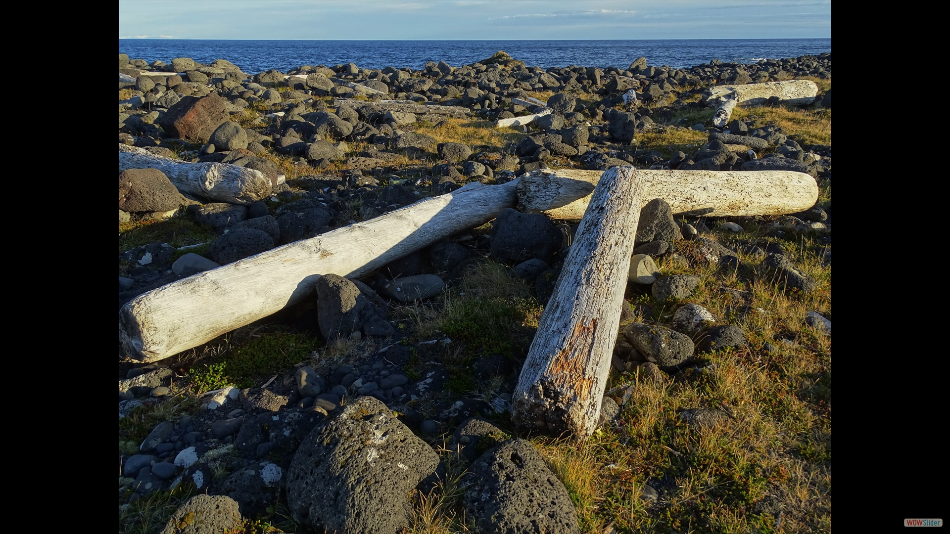 Strandgut aus Sibirien