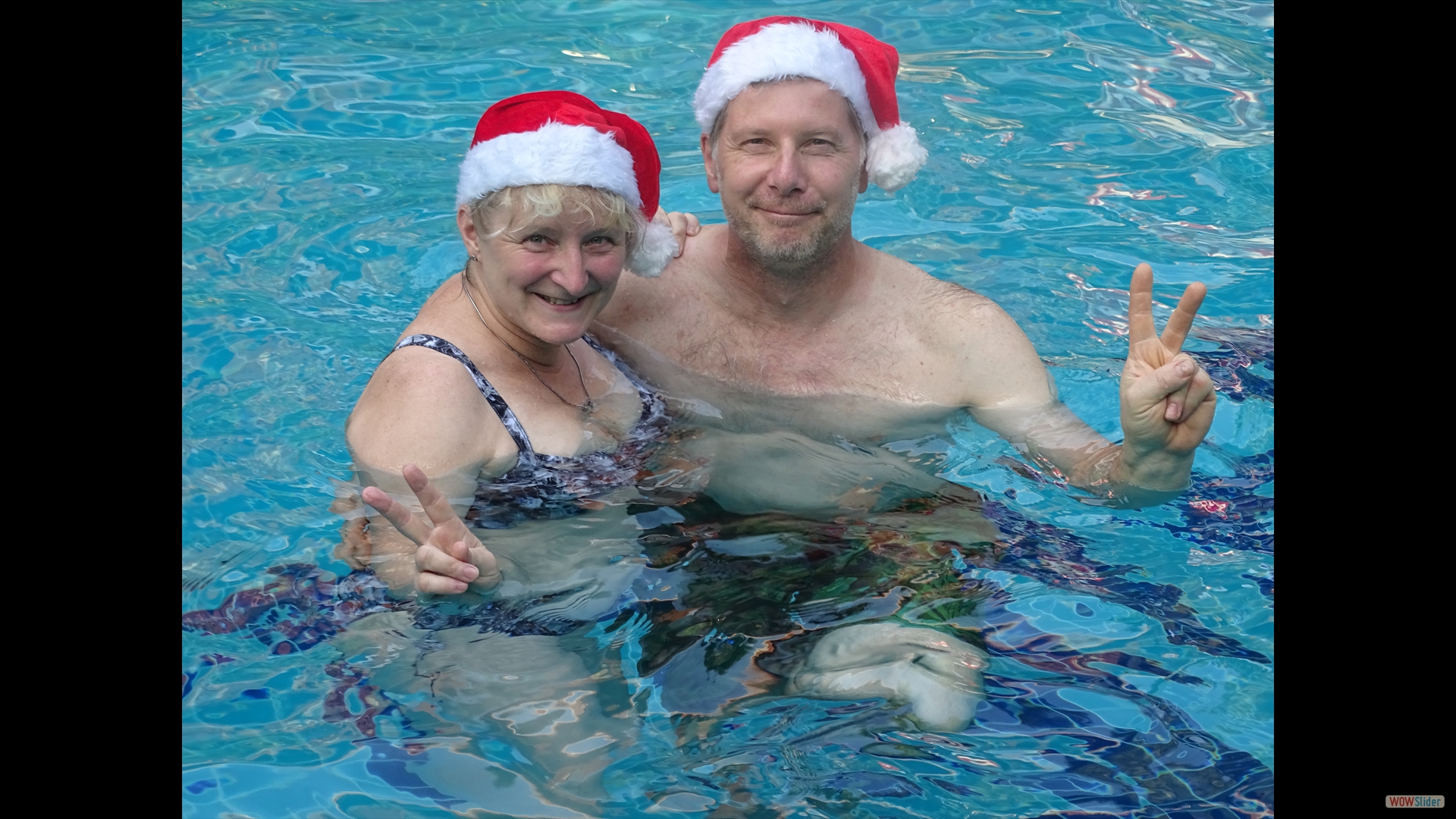 Frohe Weihnachten im Pool