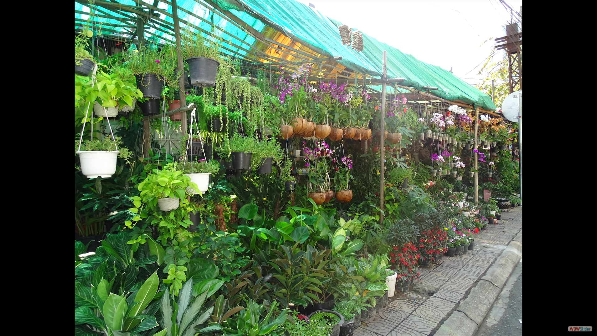 Markt in Phnom Penh
