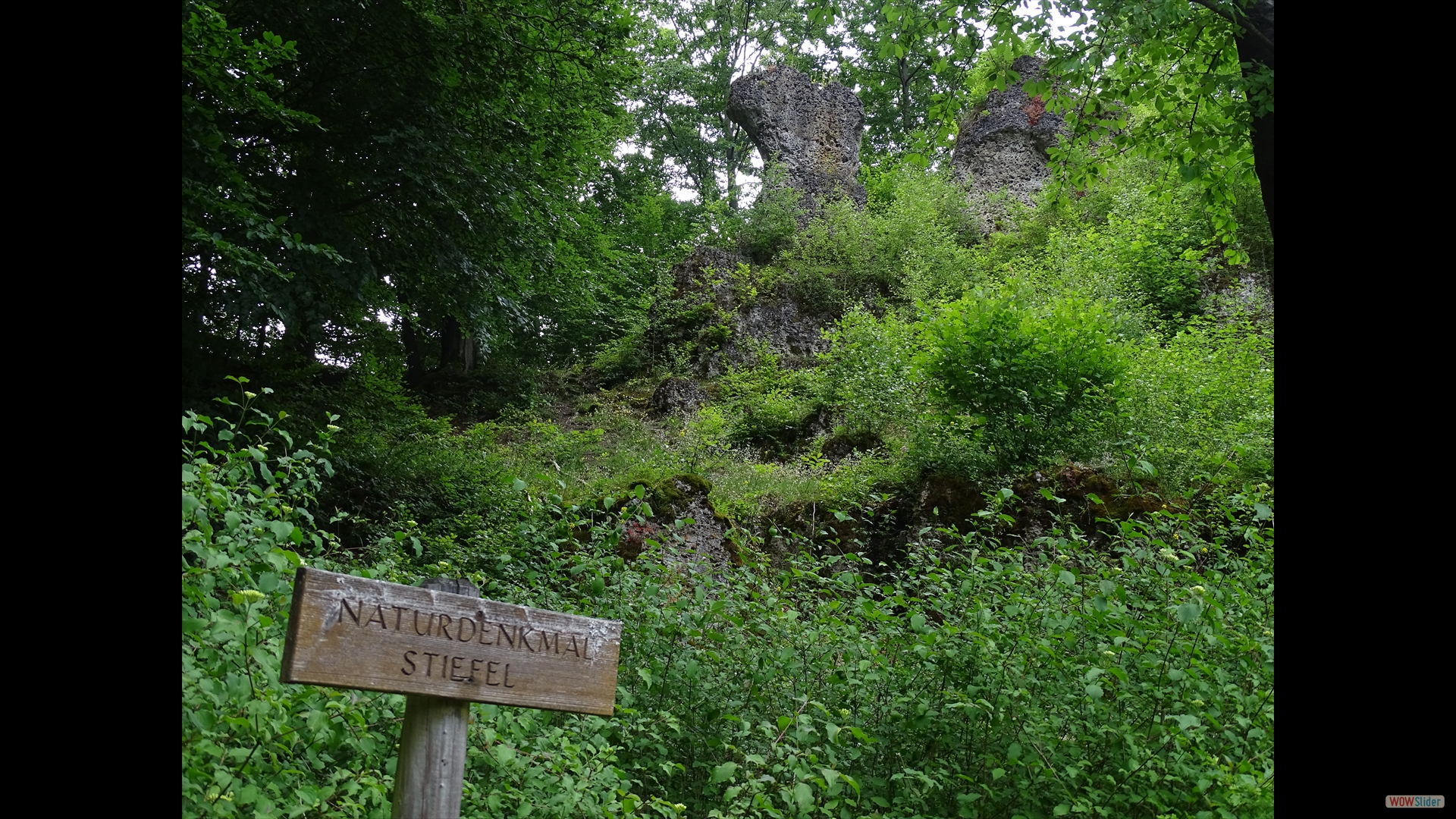Naturdenkmal Stiefel