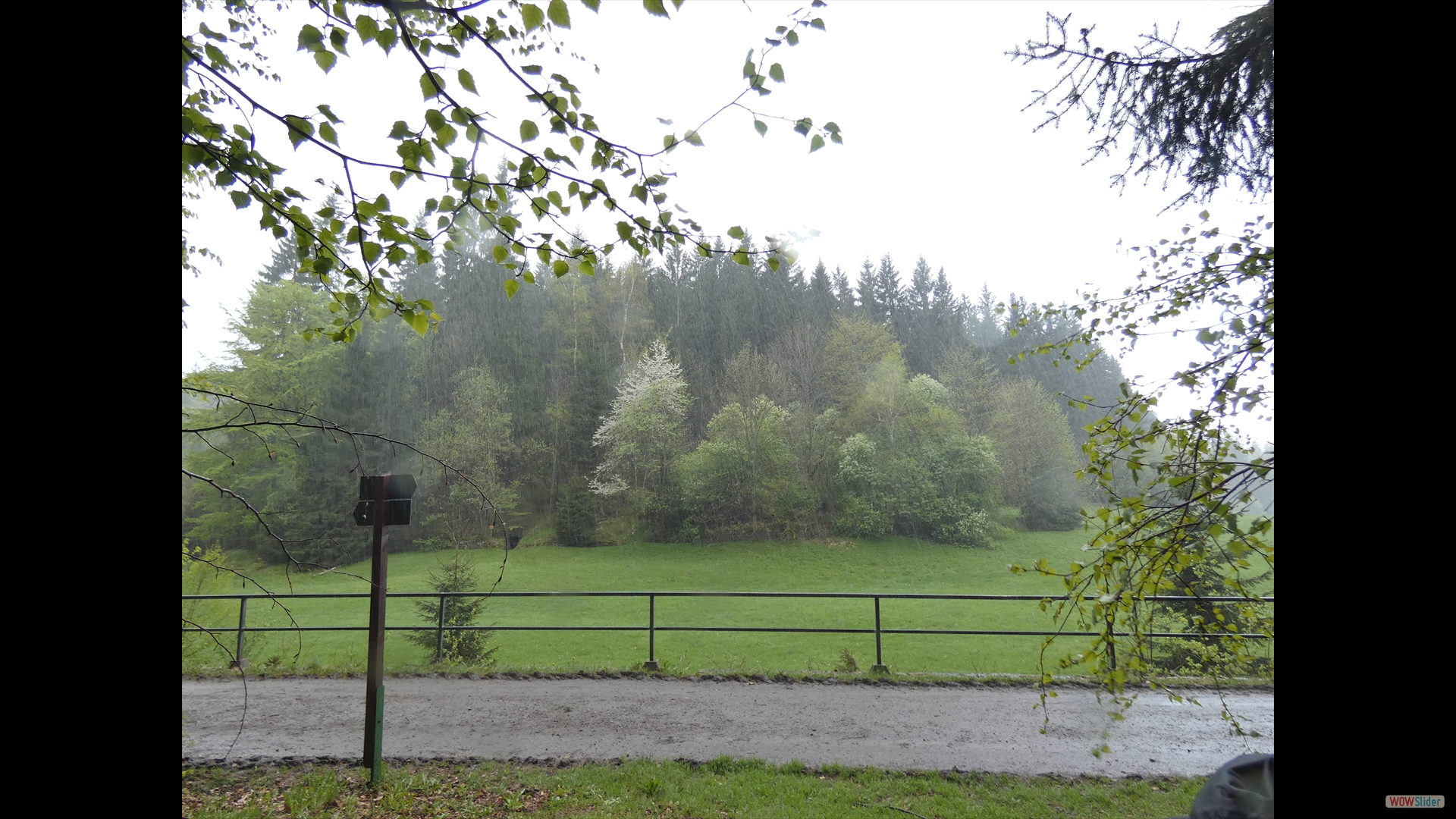 Regenschauer