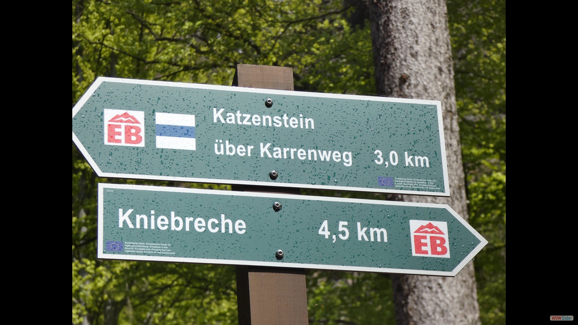 zurück nach Kühnhaide über den Katzenstein (706 m)