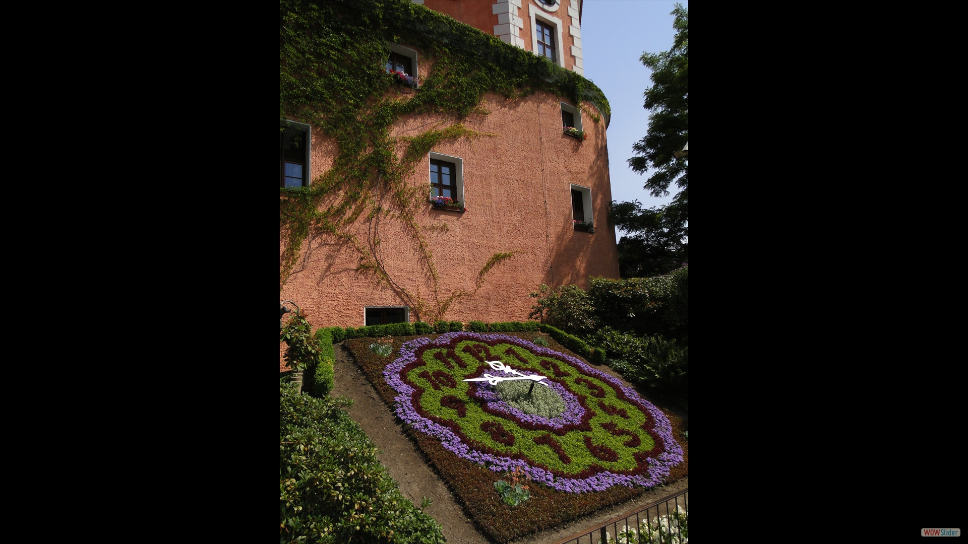 Zittau - Blumenuhr