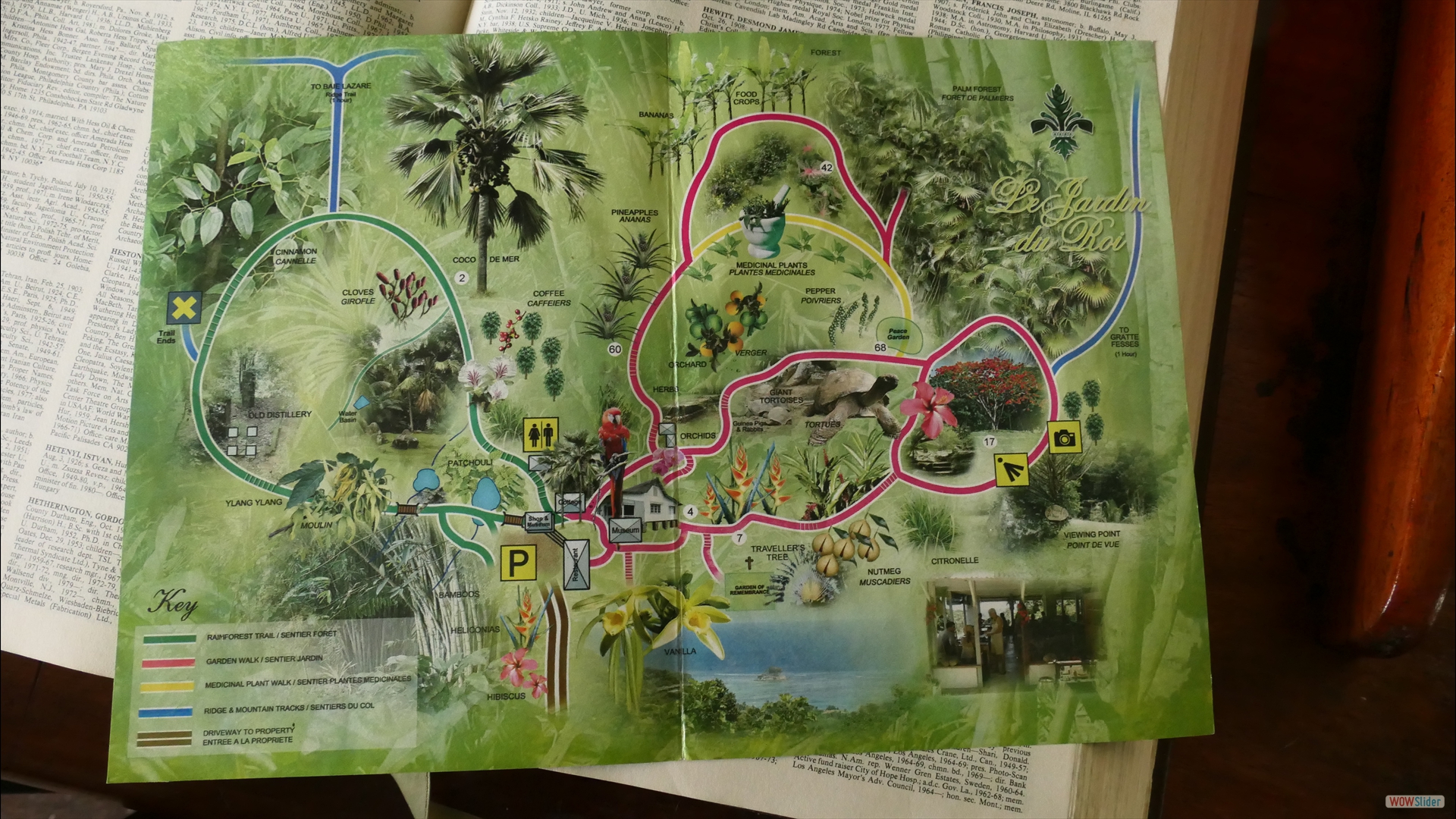Rundwege durch den Garten