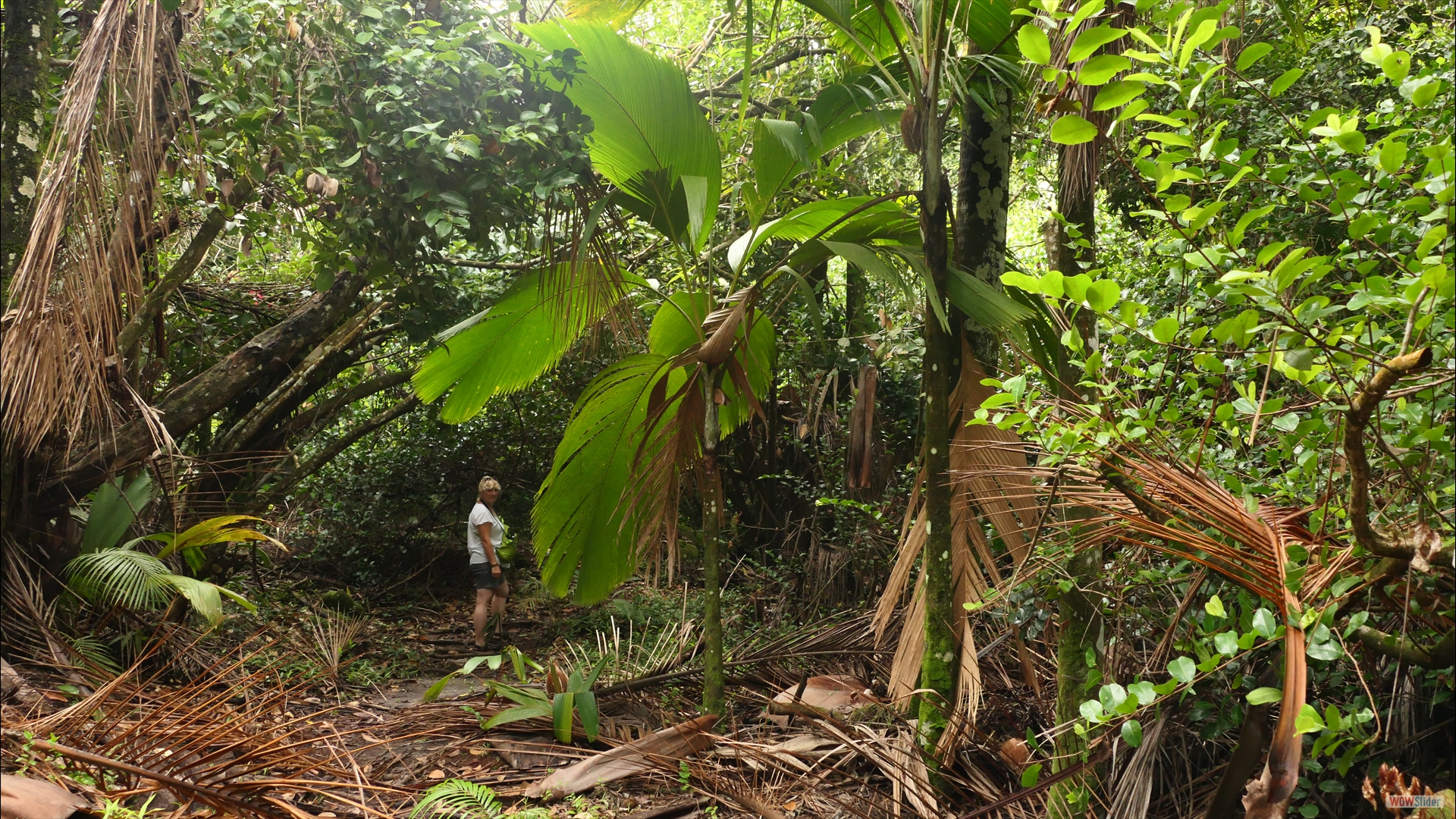kleine Wanderung - Glacis La Reserve Trail