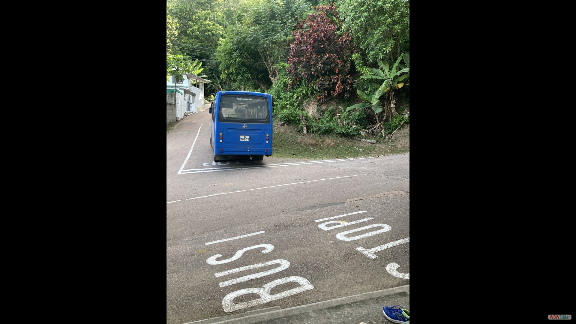 auf Praslin waren wir mit dem Bus unterwegs