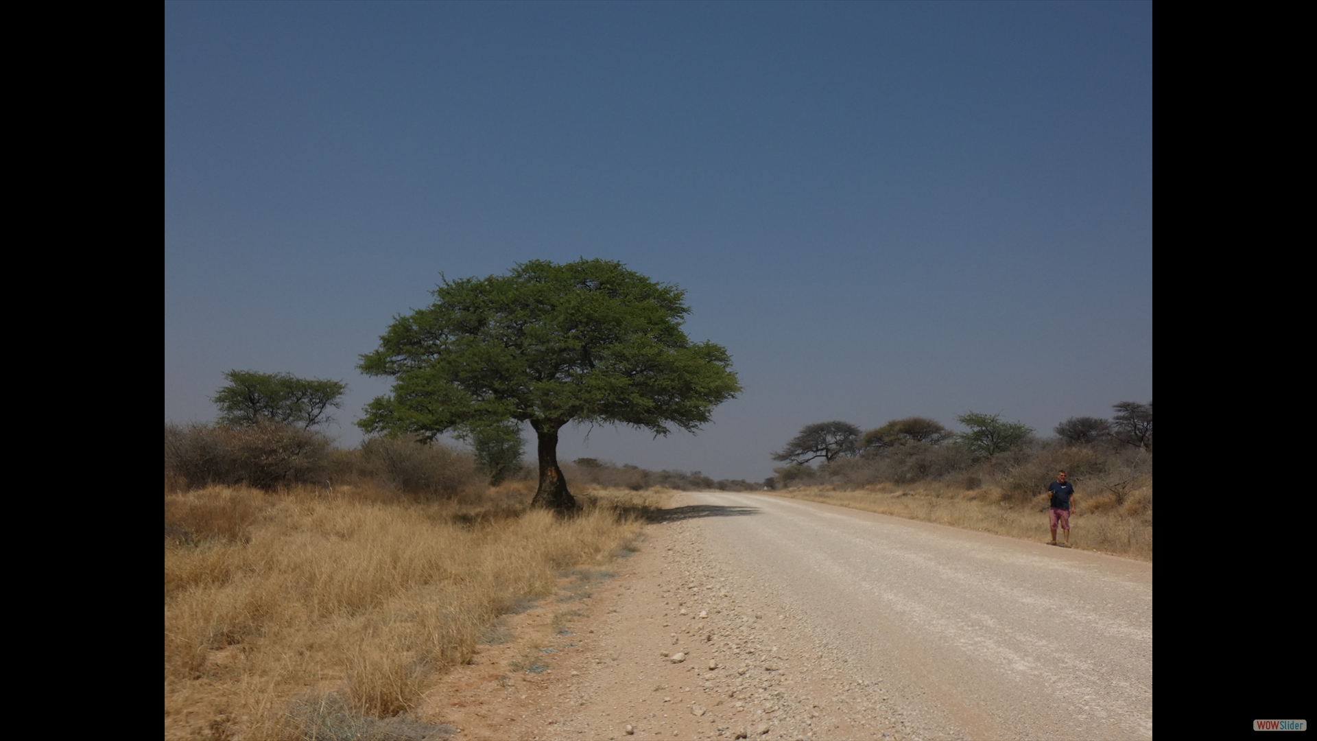 auf dem Weg zum Waterberg