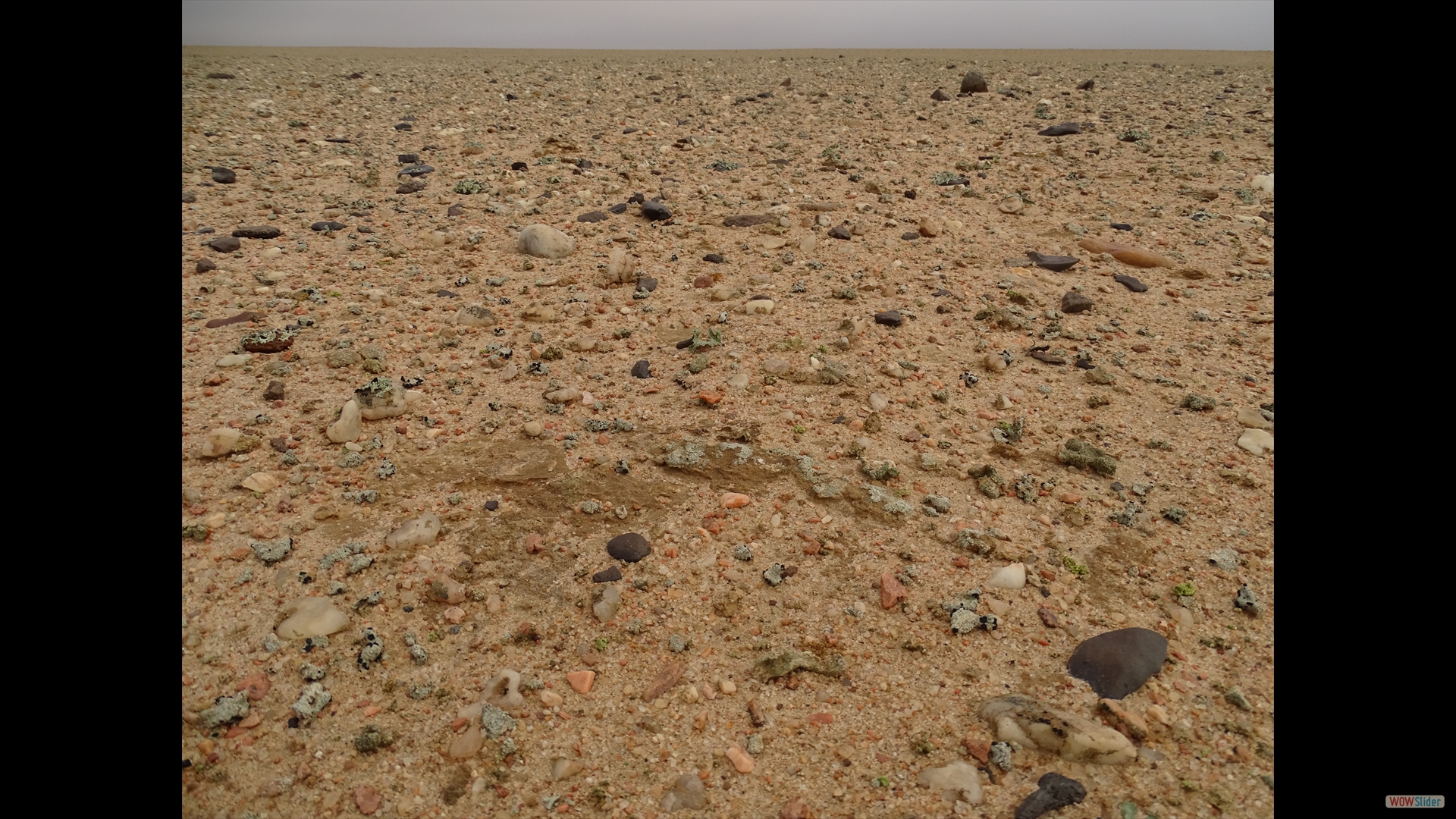 Welwitschia Drive, eine etwa 50 km lange Landschaftsroute südöstlich von Swakopmund