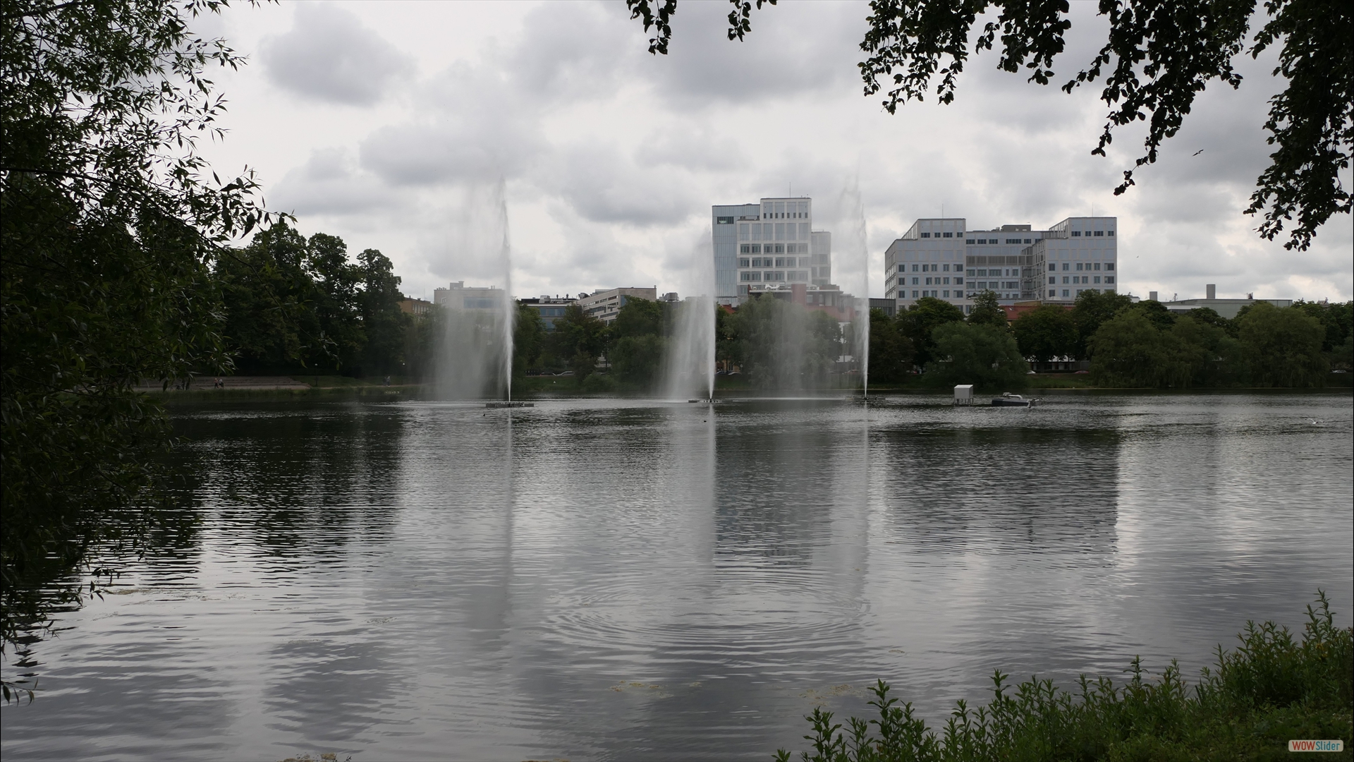 Pildammarna