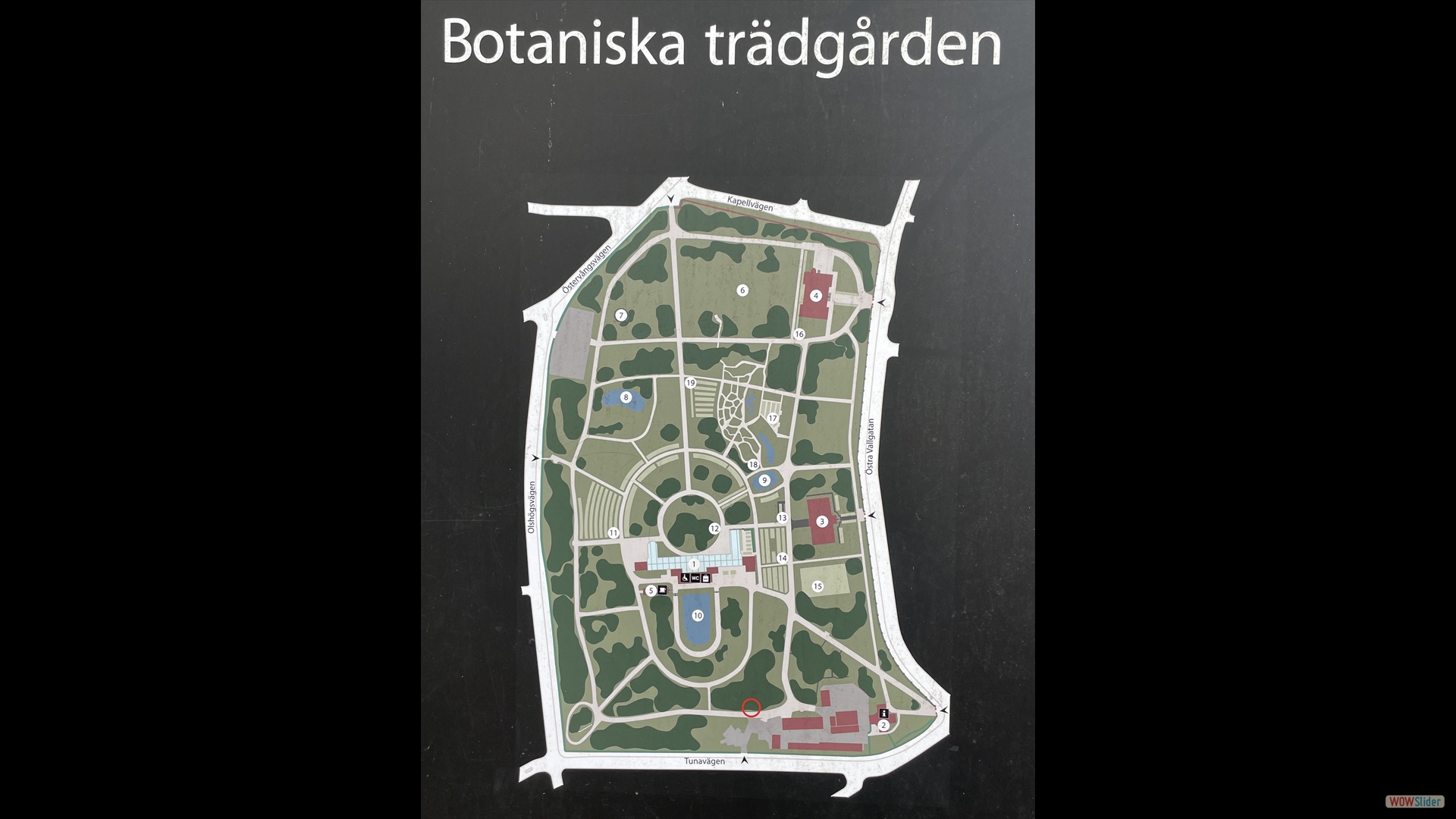 Lund  -  Botanischer Garten