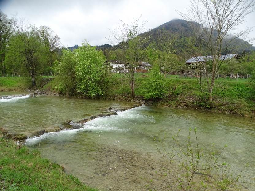 Ein Bild, das drauen, Baum, Gras, Fluss enthlt.

Automatisch generierte Beschreibung