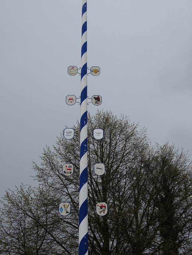 Ein Bild, das Baum, drauen, Himmel, Luft enthlt.

Automatisch generierte Beschreibung